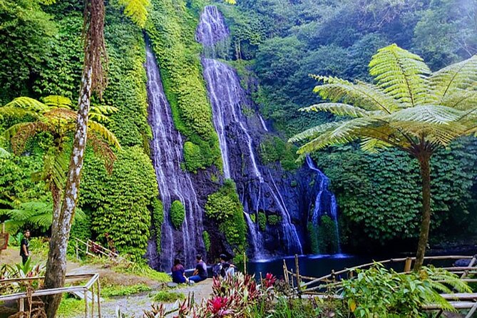 Banyumala Twin Waterfall Bali: Air Terjun Kembar yang Menawan di Utara Pulau Dewata