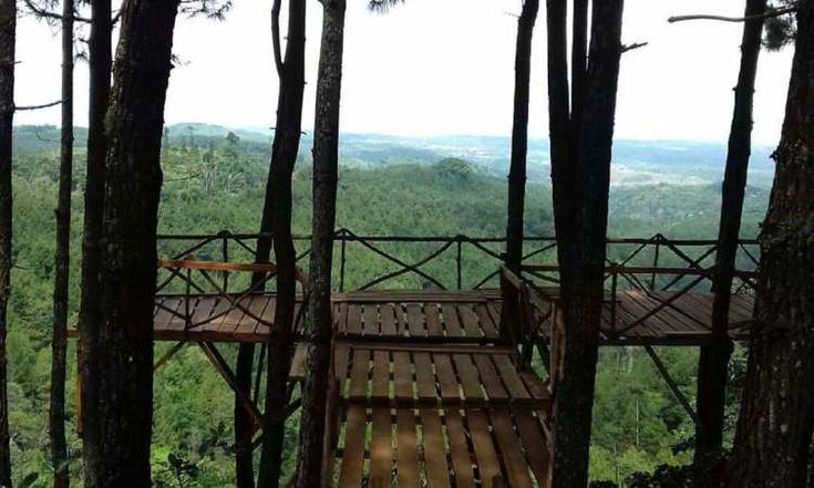 Wisata Viral Bukit Senyum: Pemandangan Spektakuler dan Penginapan Murah di Malang