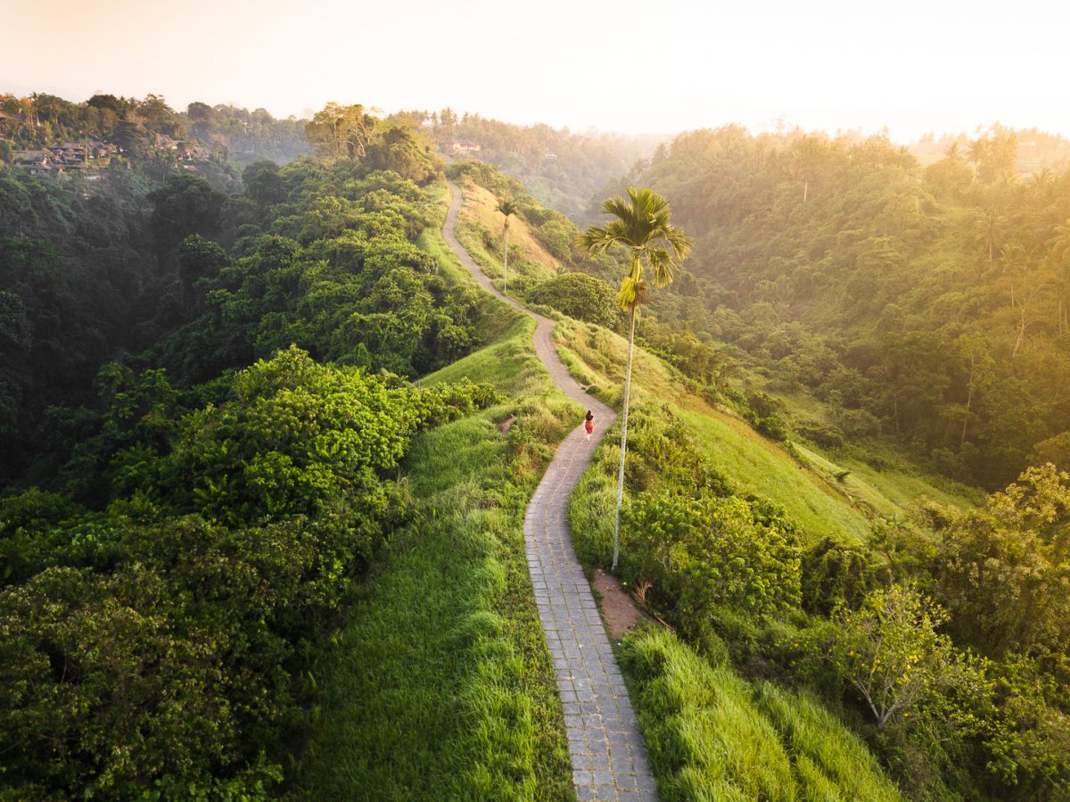 Campuhan Ridge Walk Bali: Jalur Pendakian Instagramable di Ubud