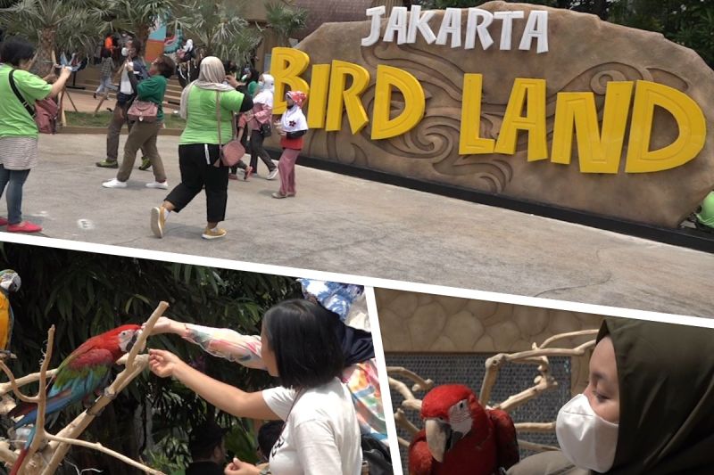 Jakarta Bird Land: Surga Bagi Pecinta Burung di Ancol