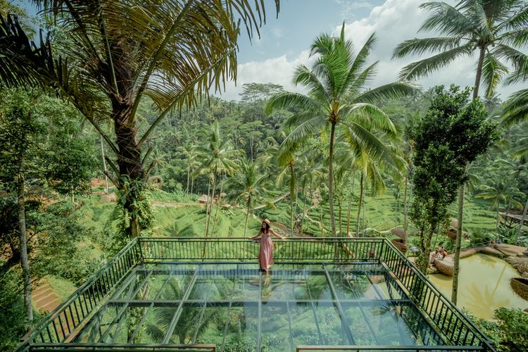 Alas Harum Bali: Petualangan Seru di Tengah Sawah Terasering