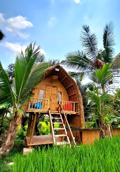 Tiny ECO Bamboo Ubud