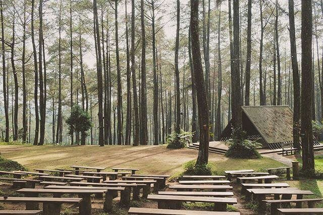 Cozzy.id - Hotel Murah - Hotel Terdekat - Penginapan Murah - Penginapan Terdekat - Booking Hotel - Orchid Forest Cikole Bandung - Keajaiban Anggrek di Tengah Hutan Pinus - Sumber Gambar (Lembang)