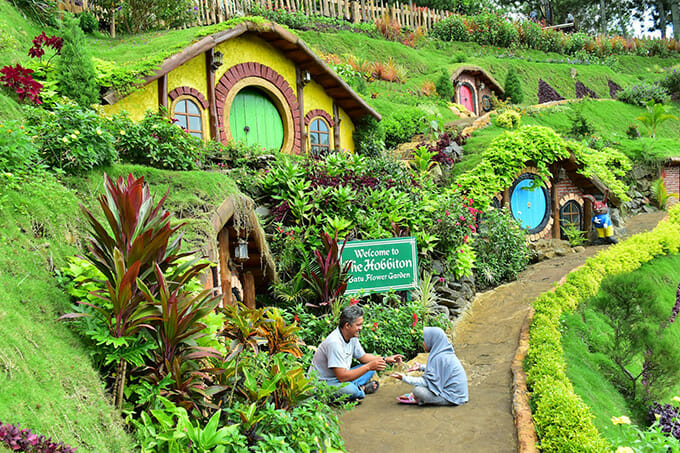 Batu Flower Garden Malang: Surga Bunga di Kota Batu