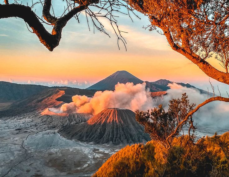 Berapa Biaya Liburan ke Bromo? Temukan Rincian Biayanya di Sini!