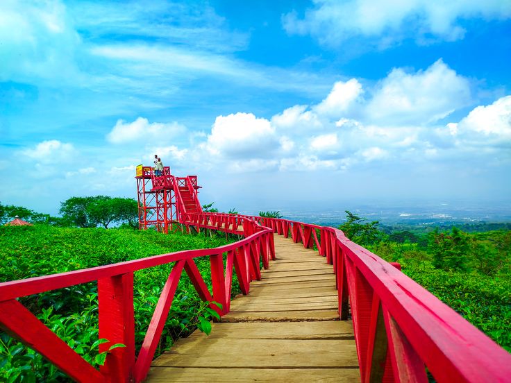 kebun teh wonosari malang-penginapan murah-cozzy.id