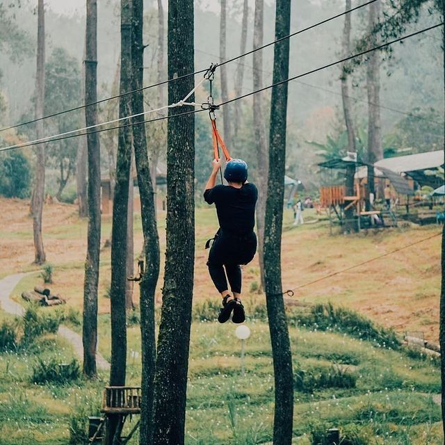 Flying fox-penginapan murah-cozzy.id