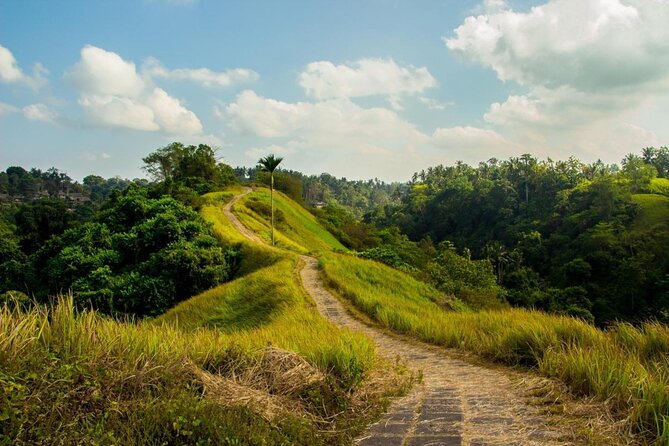 Cozzy.id - Hotel Murah - Hotel Terdekat - Penginapan Murah - Penginapan Terdekat - Booking Hotel - Campuhan Ridge Walk Bali - Jalur Pendakian Instagramable di Ubud - Sumber Gambar (viator)