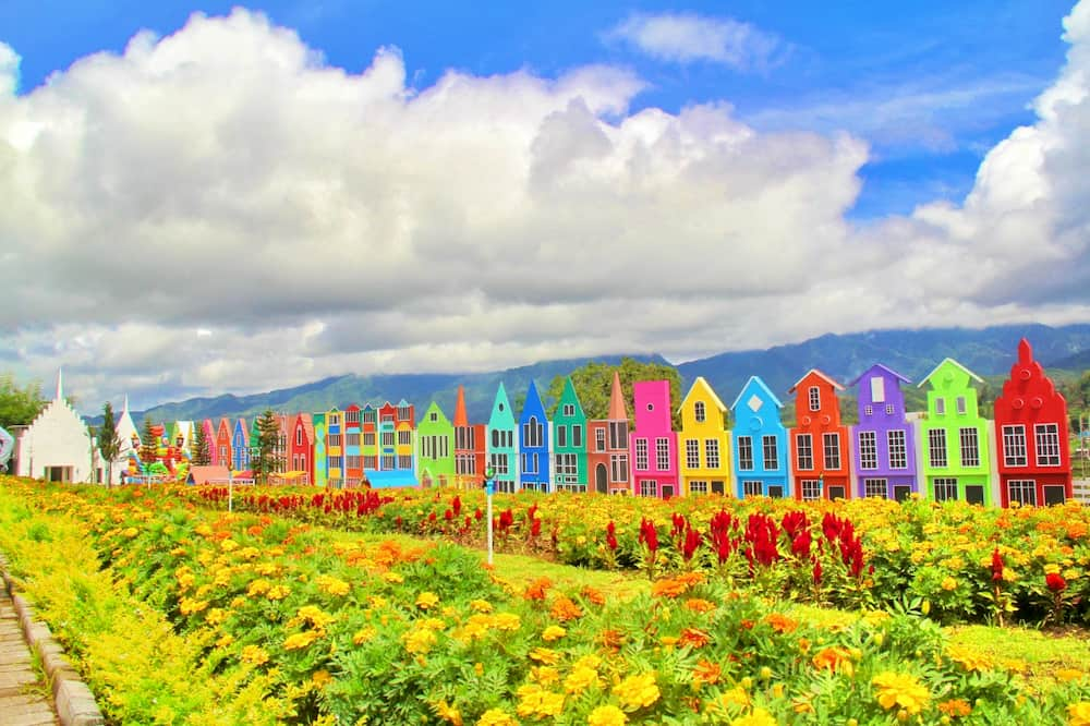 Florawisata San Terra de Lafonte Malang: Surga Bunga di Kota Apel