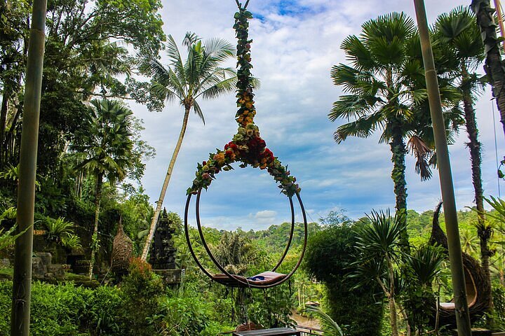 Weekend di The Bali Swing: Sensasi Berayun di Atas Sawah