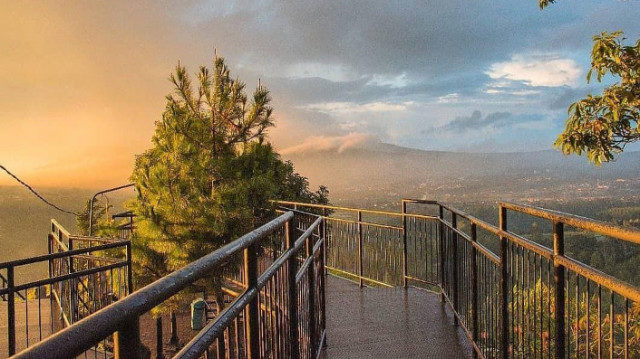 Taman Hutan Raya Ir. H. Djuanda: Oase Hijau di Kota Bandung