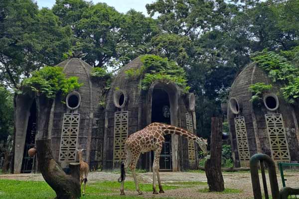 Kebun Binatang Ragunan: Surga Satwa di Jakarta