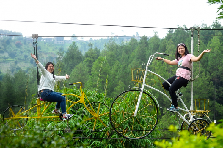 Dago Dream Park: Petualangan Seru di Hutan Pinus Bandung