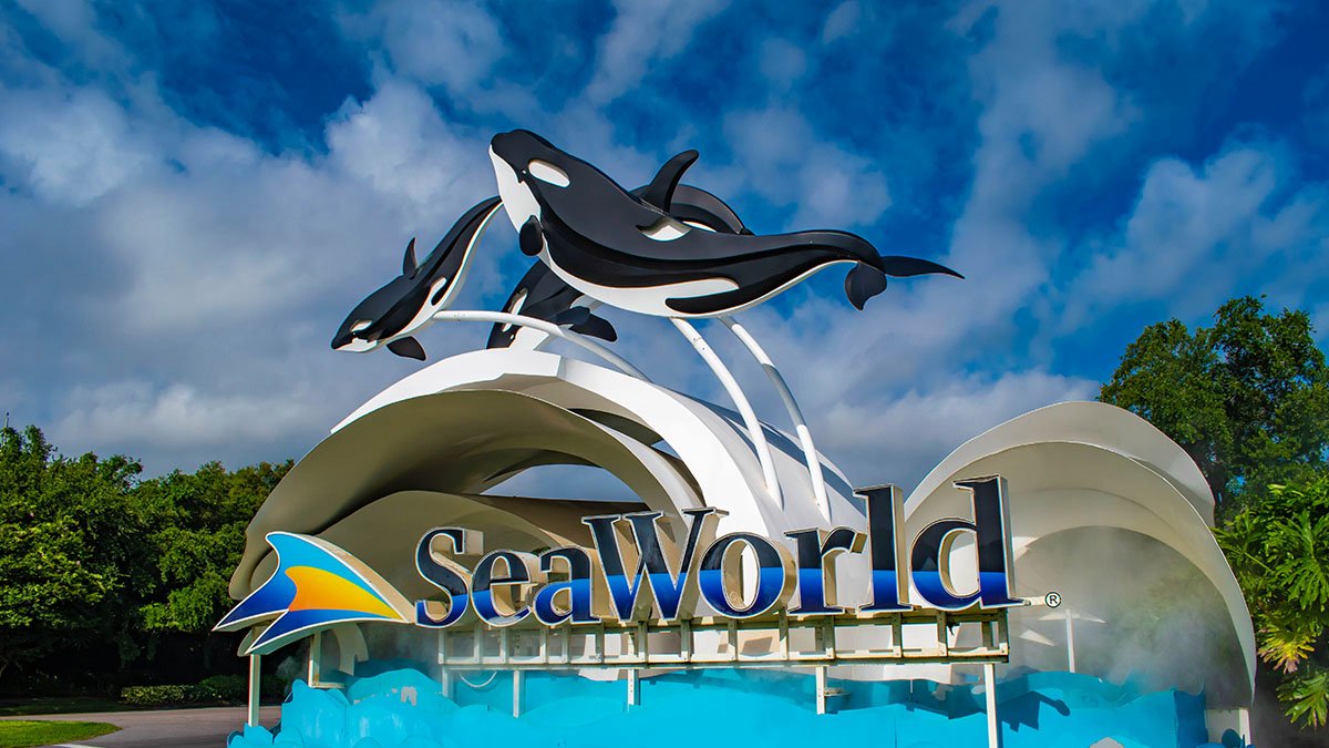 Sea World Ancol Jakarta: Petualangan Bawah Laut yang Menakjubkan