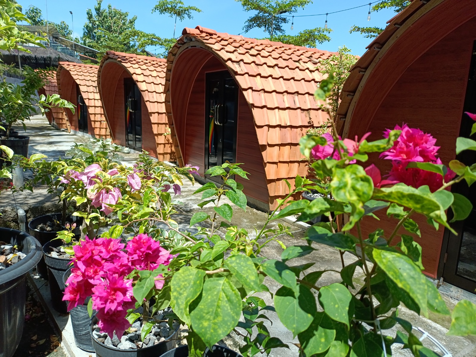 Bitu Garden